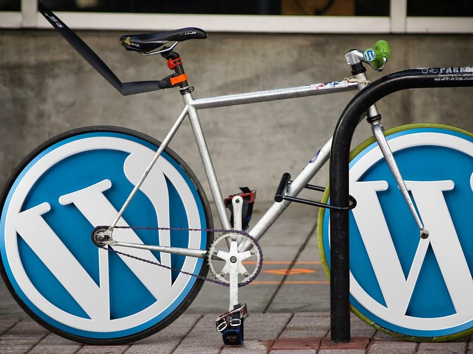 wordpress, wordpress logo, icon